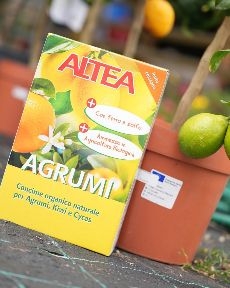 Concimi e nutrimento per piante, orto e giardino in Ticino