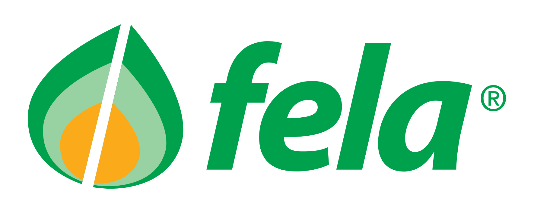 Fela Ticino Logo