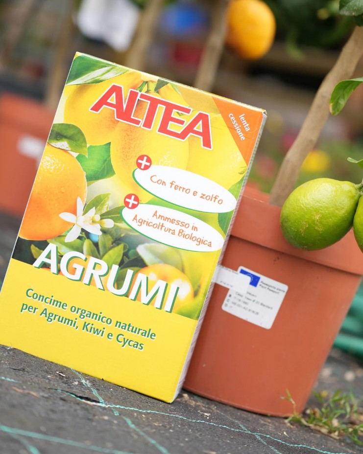 Concime per agrumi e piante ornamentali
