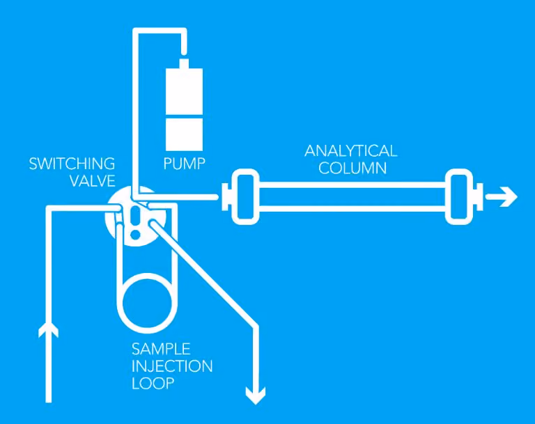 A BioVersal diagram