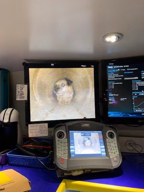 iPEK ROVION CCTV System Helps Rescue “Blacky” The Dog