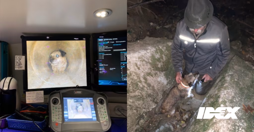 Photographs from the rescue of Blacky the dog