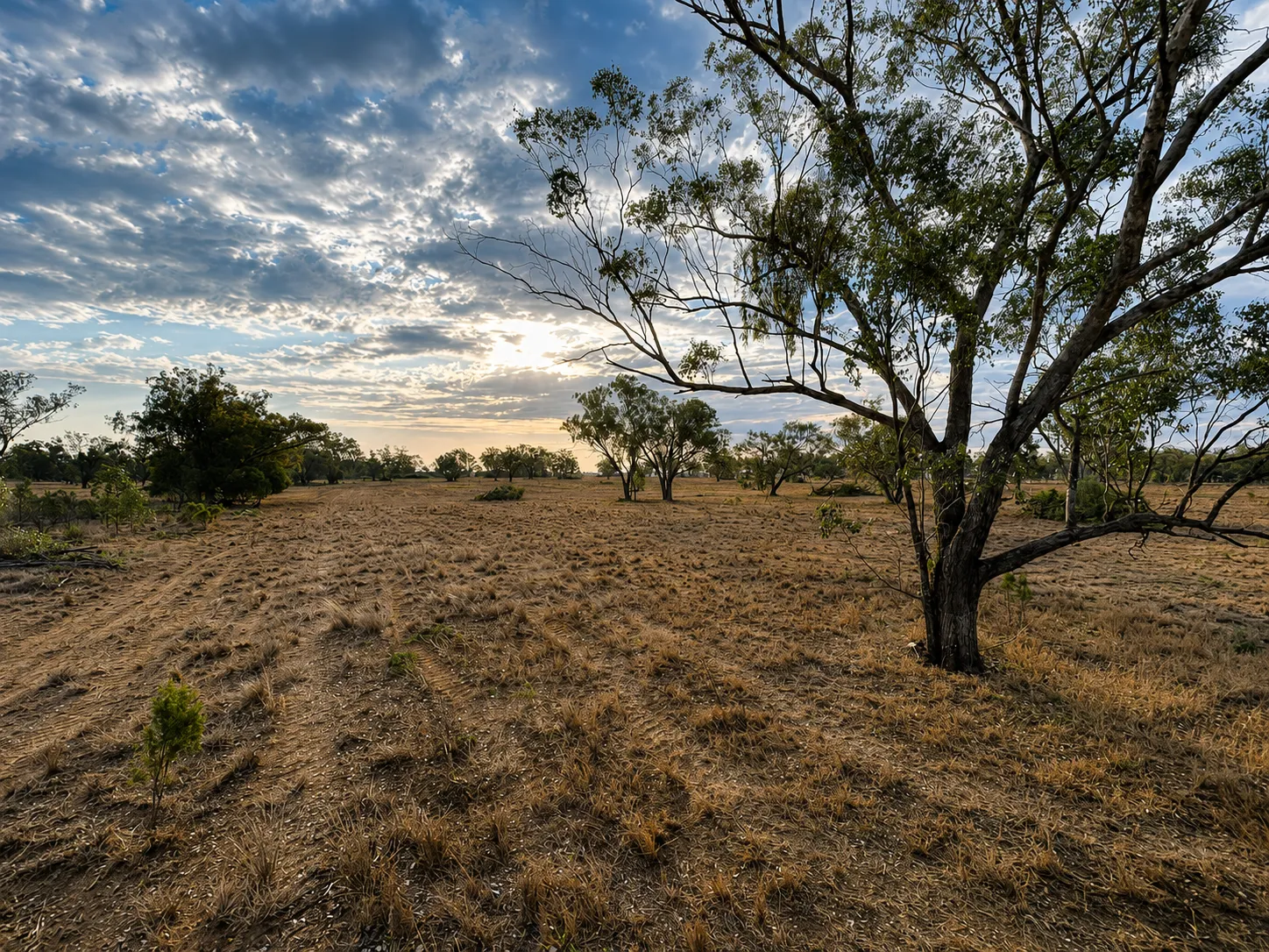 Cleared paddock after stick raking in rural Queensland.