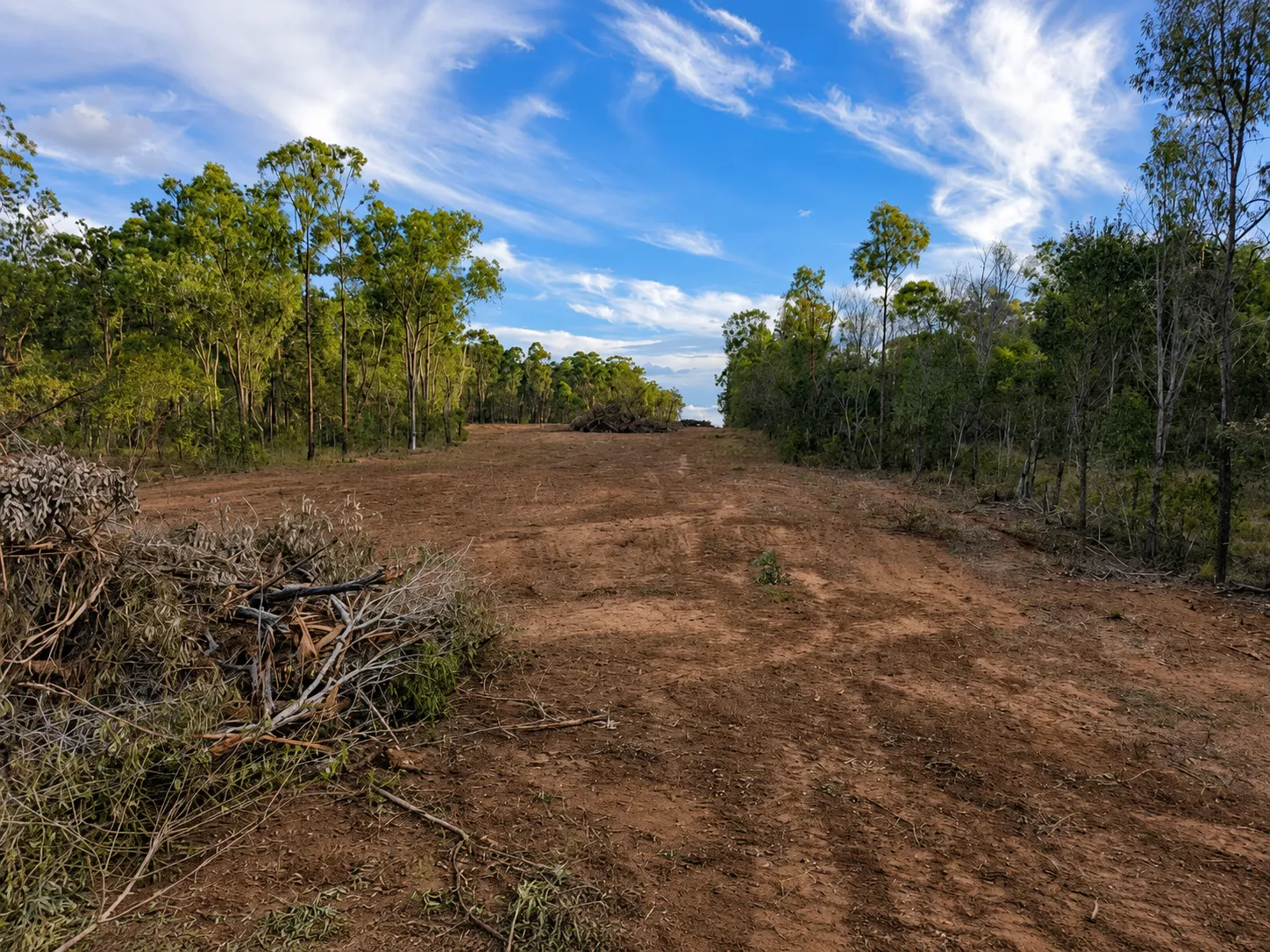 Fence line cleared of scrub on a rural Queensland property.