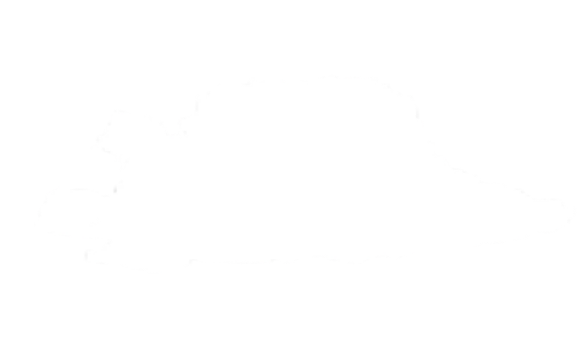 White cloud shape with uneven edges on a transparent background.