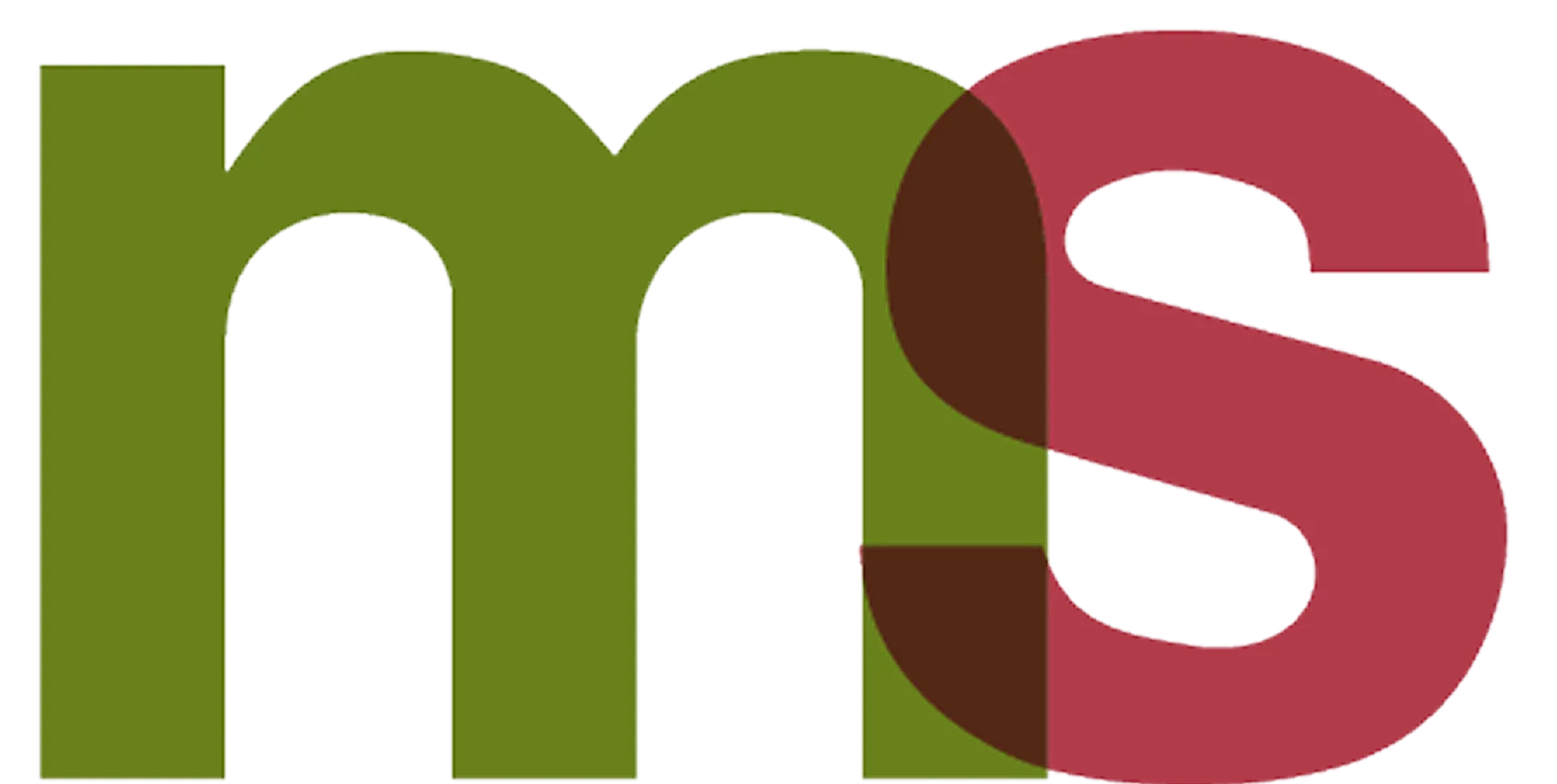 msptax Murr & Siedentop – Logo farbig