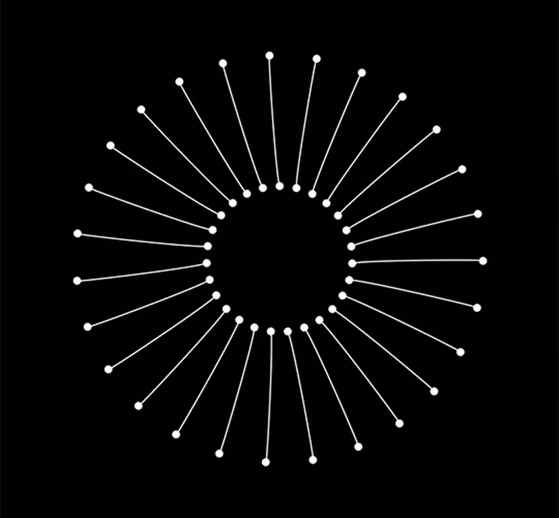 White dots connected by lines forming a circular radial pattern on a black background.