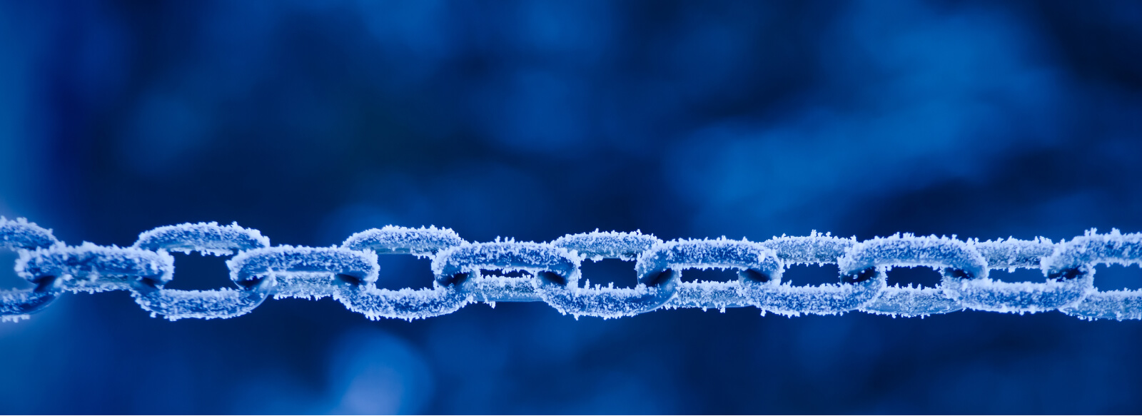 Digitally Driven Cold Chains: How to Upgrade Your Temperature Tracking