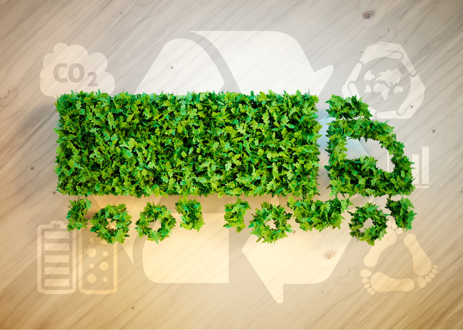30 Years of Sustainability