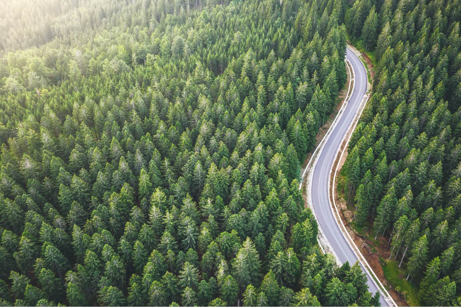 Sustainability Lessons from FourKites’ Supply Chain Leadership Summit