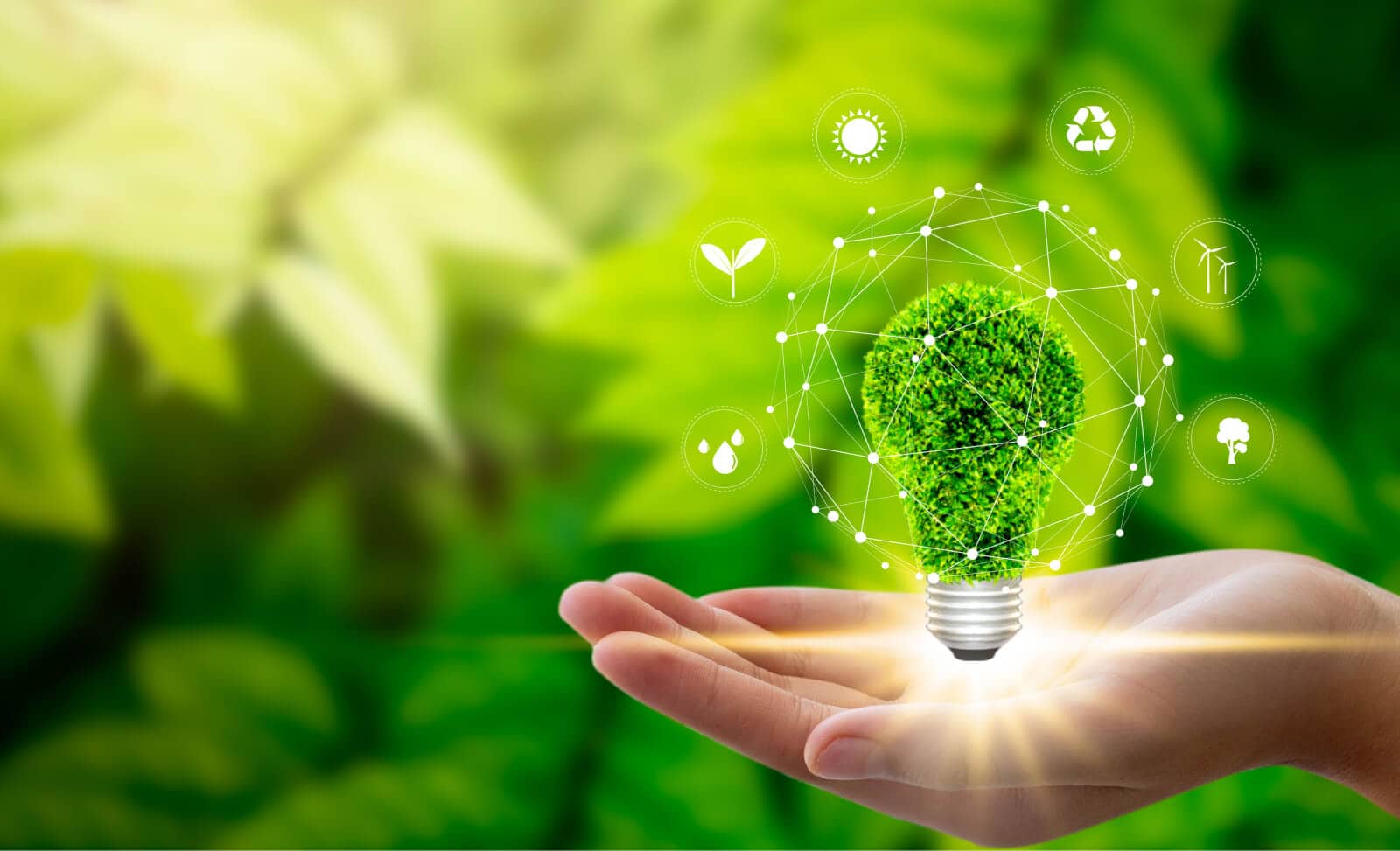 The State of Supply Chain Sustainability: Research from MIT CTL and CSCMP