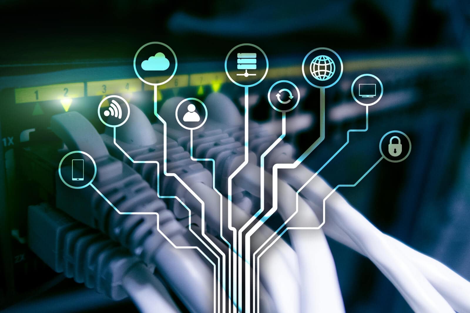 EDI vs. API in the Modern Supply Chain