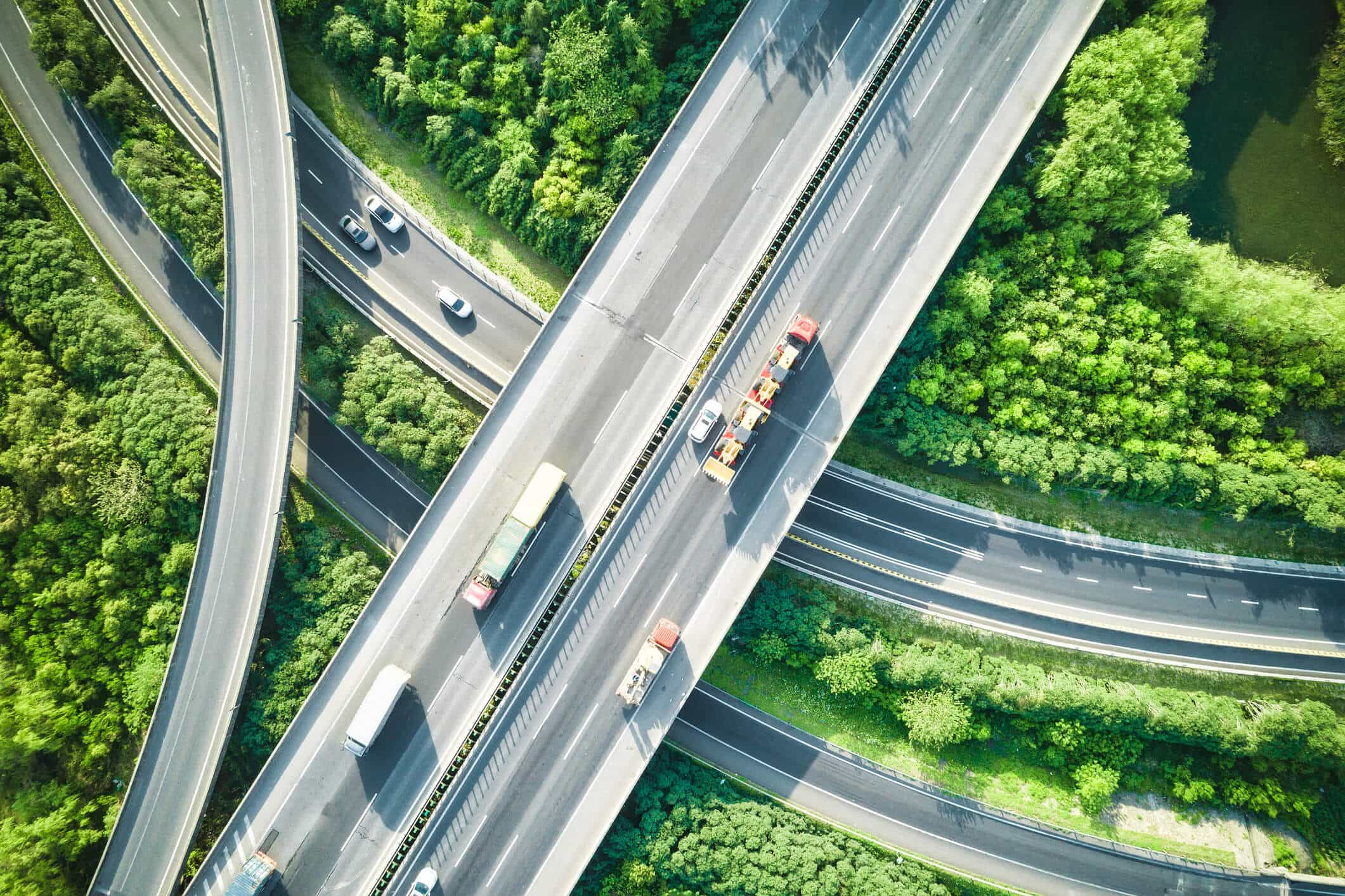 Data Levels the Playing Field for Carriers, Too