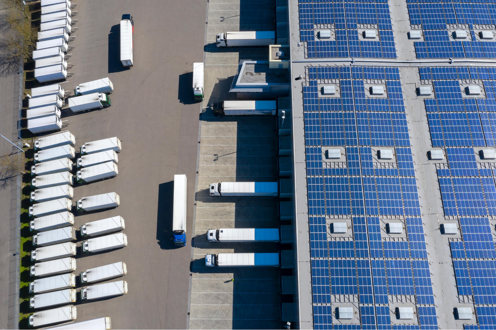 How Can You Reduce Supply Chain Costs and Emissions? Look to Your Yard