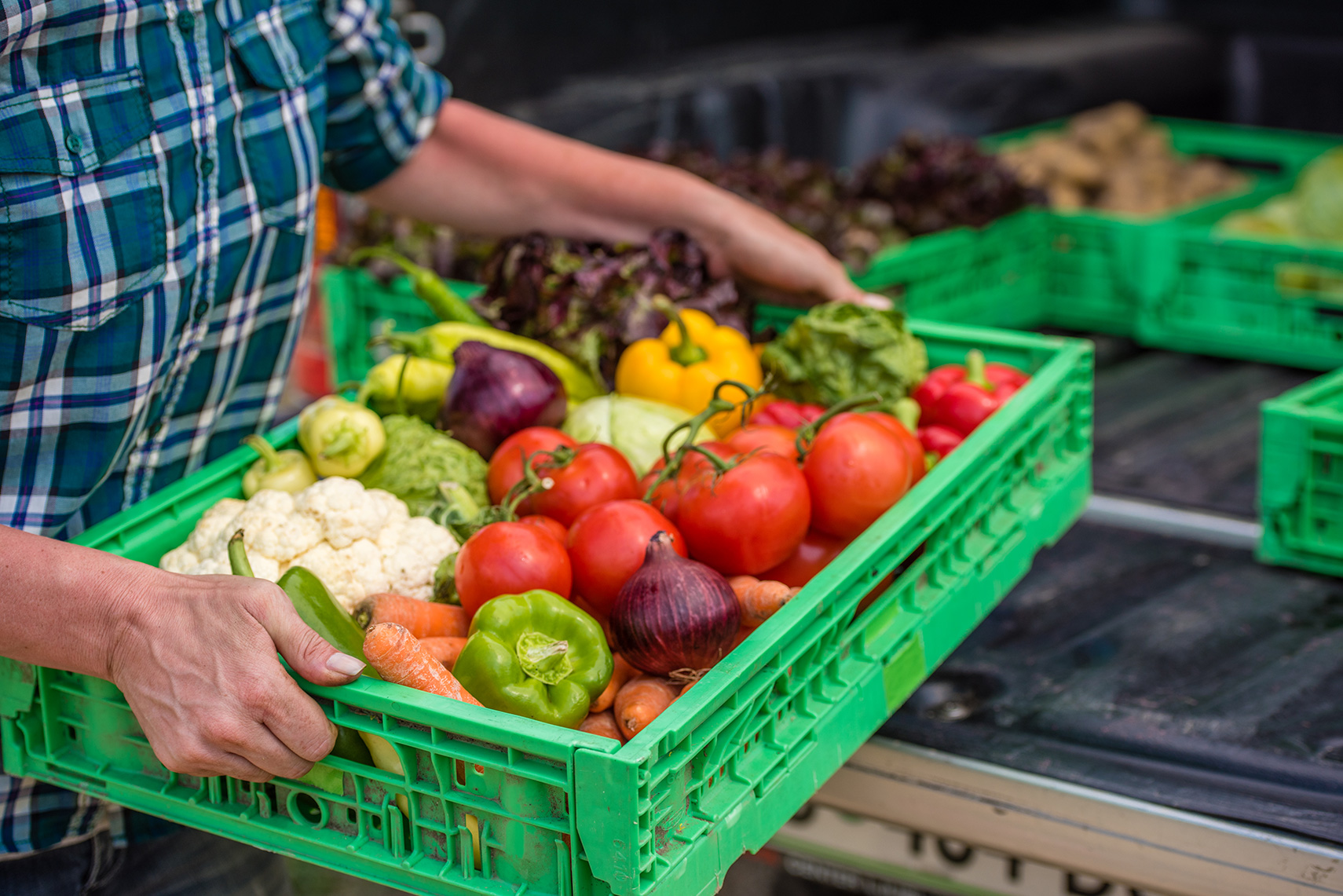 How Top Food Shippers are Navigating Supply Chain Disruptions in 2023