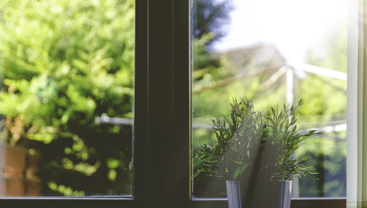Fenêtre propre au soleil, vue sur le jardin