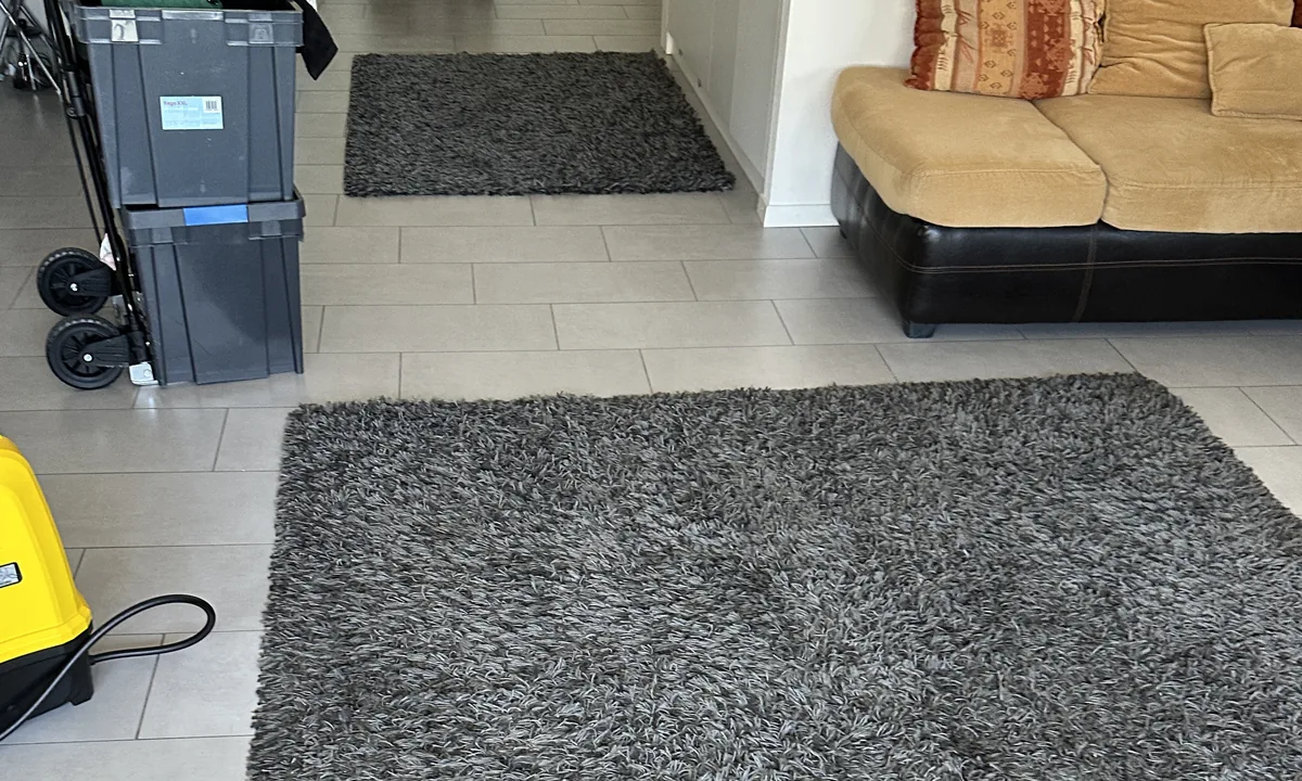 Petit tapis d'entrée et grand tapis à poils longs gris, pendant une intervention à domicile