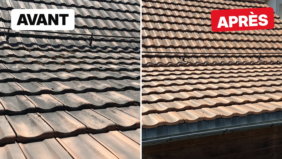 Gros plan de tuiles avec mousse et lichens avant le nettoyage, puis propres après