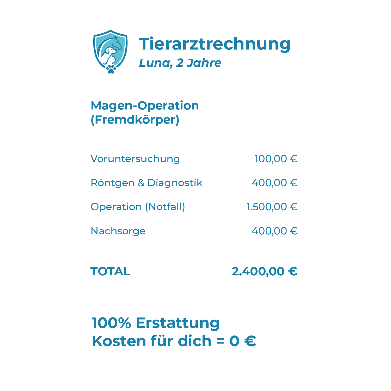 Tierarztrechnung für Luna mit Magen-Operation, Gesamtkosten 2400 Euro, 100% Erstattung, keine Kosten für dich.