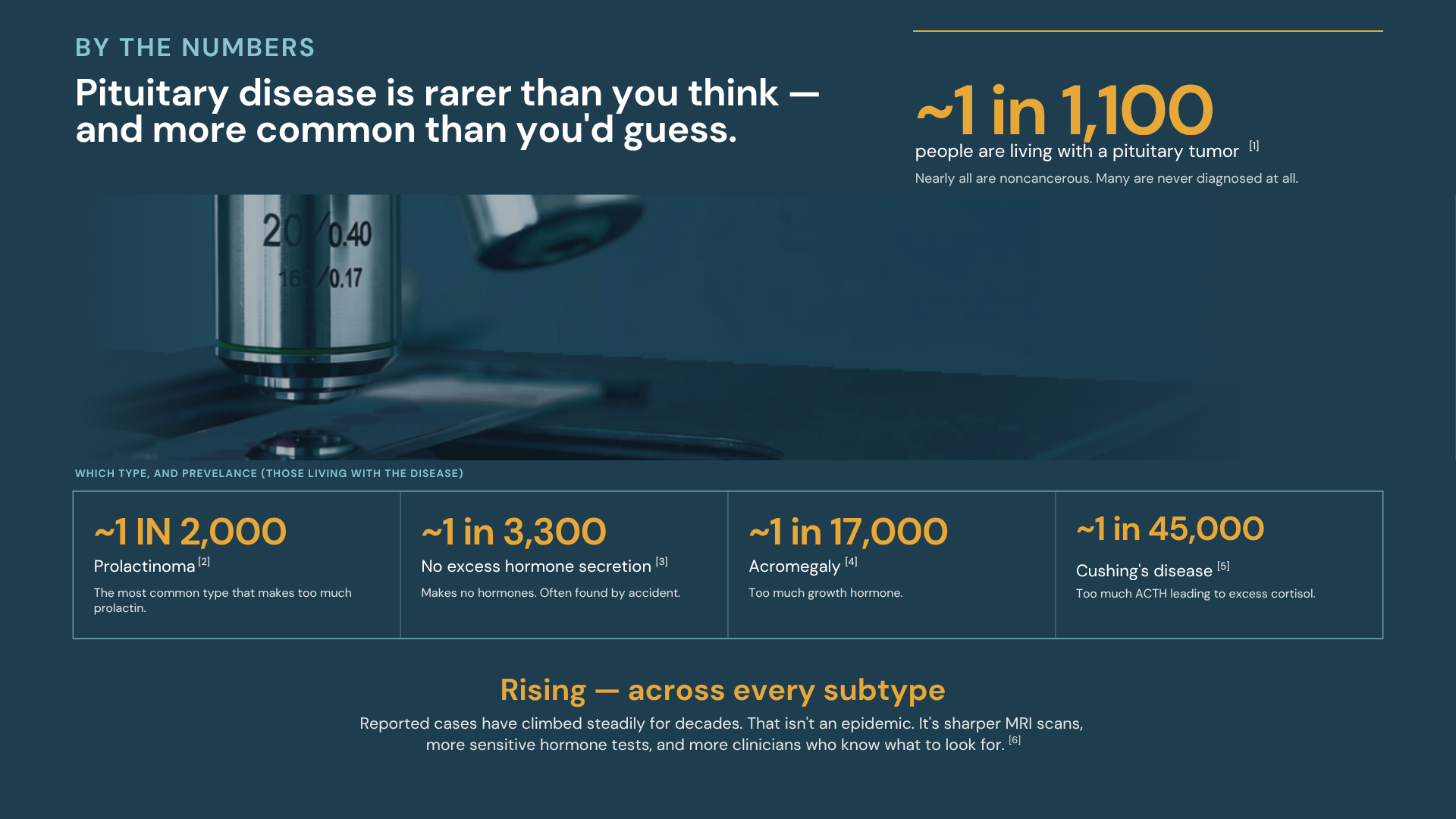 Infographic titled 'By the Numbers: Pituitary disease is rarer than you think — and more common than you'd guess.' Shows that approximately 1 in 1,100 people live with a pituitary tumor, broken down by subtype: prolactinoma (~4 in 10), nonfunctioning adenoma (~3 in 10), acromegaly (~1 in 8), and Cushing's disease (~1 in 45,000). Notes that reported cases are rising across every subtype, attributed to improved detection rather than a true increase in disease rate.