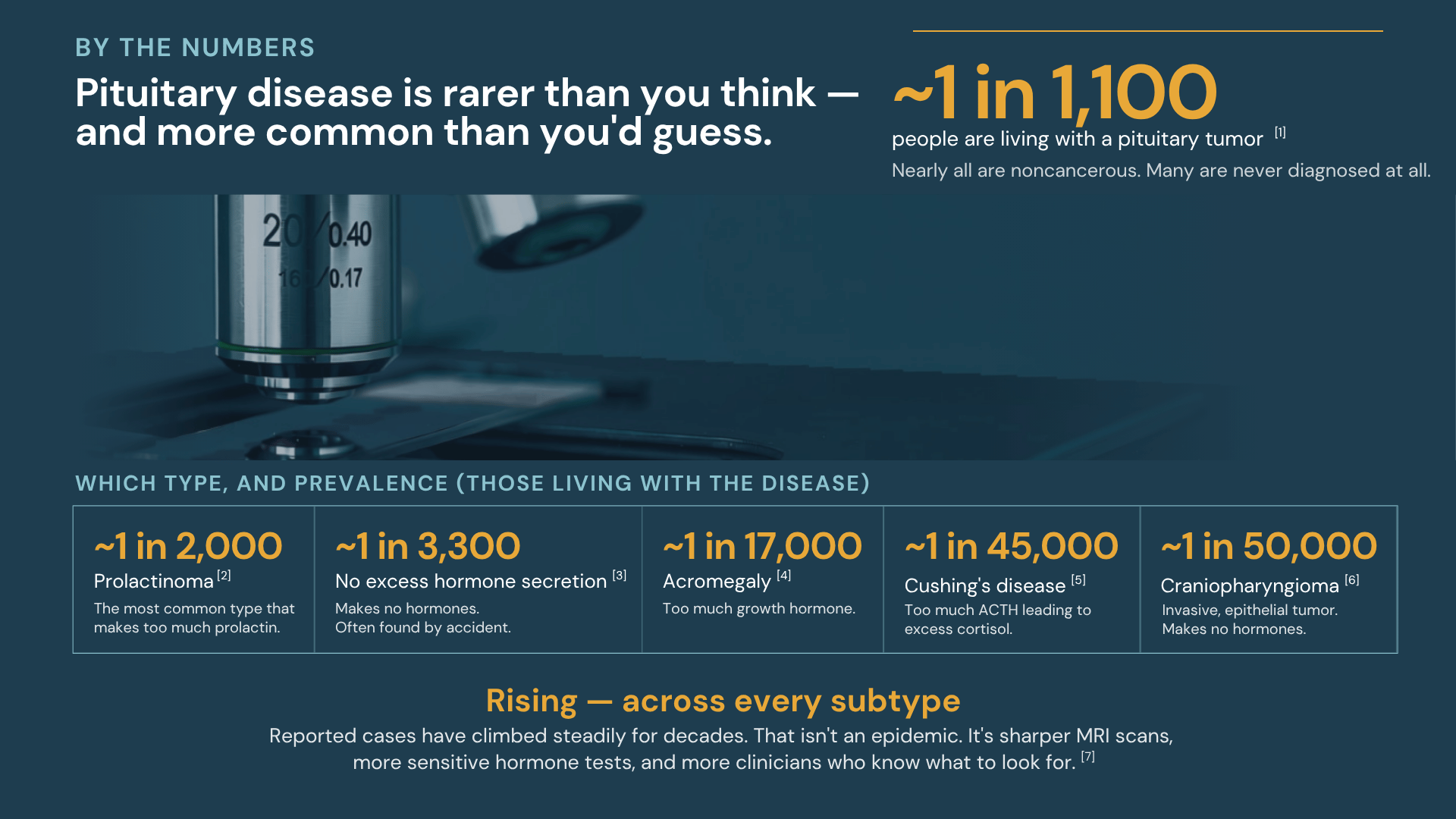 Infographic titled 'By the Numbers: Pituitary disease is rarer than you think — and more common than you'd guess.' Shows that approximately 1 in 1,100 people live with a pituitary tumor, broken down by subtype: prolactinoma (~4 in 10), nonfunctioning adenoma (~3 in 10), acromegaly (~1 in 8), and Cushing's disease (~1 in 45,000). Notes that reported cases are rising across every subtype, attributed to improved detection rather than a true increase in disease rate.