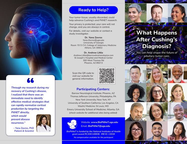 Cover of the BioPitNeT patient brochure, titled “What Happens After Cushing’s Diagnosis?”