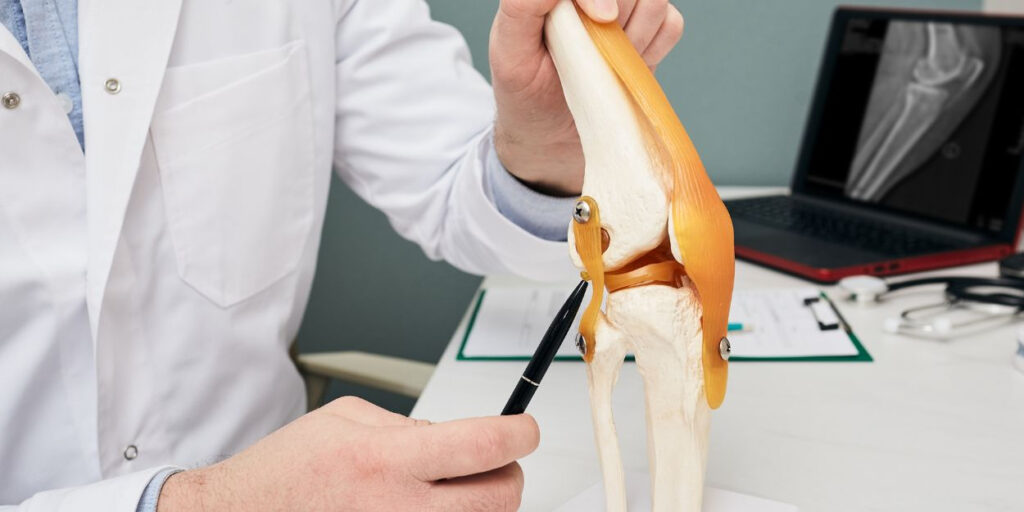 a doctor is looking at a model of a knee.