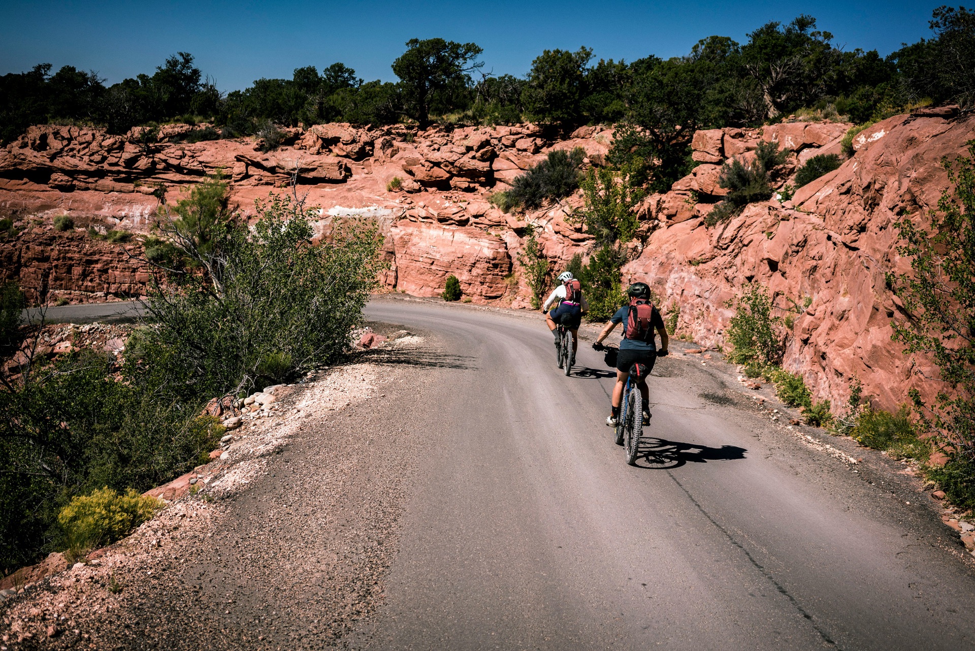 medical bike fitting in colorado springs