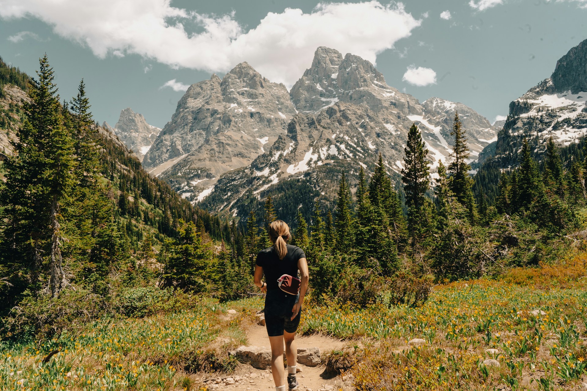 physical therapists in Colorado Springs