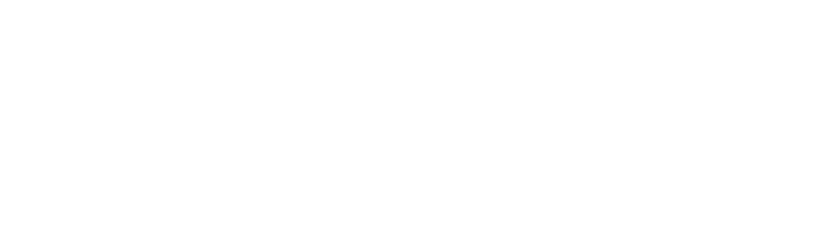 Oracle NetSuite wordmark logo in white on a transparent background.