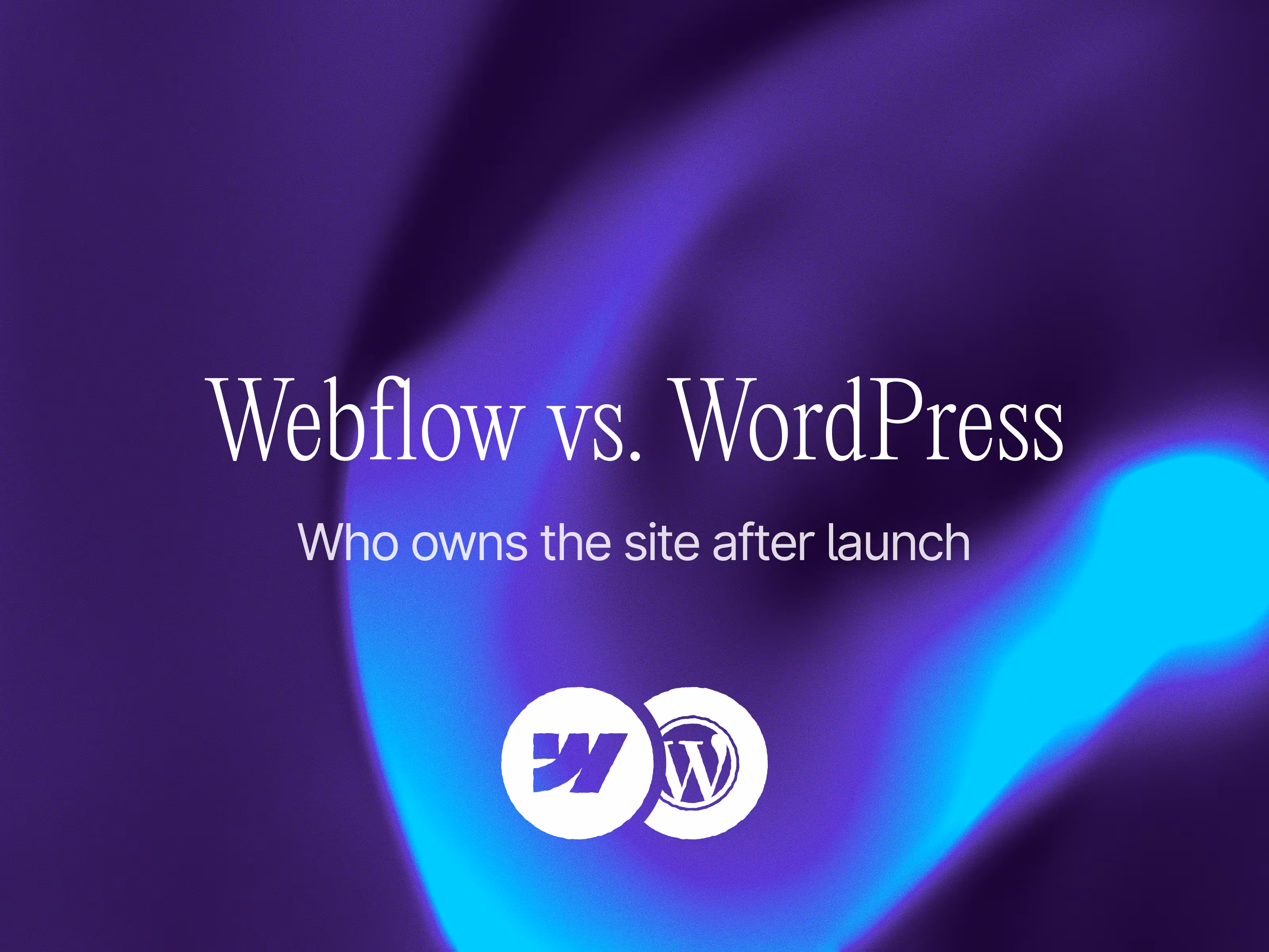 Webflow or WordPress: who owns the site after launch