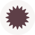 Brown spiky star shape centered on a light gray circular background.
