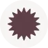 Brown spiky star shape centered on a light gray circular background.