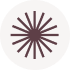 Circle with multiple dark brown lines radiating from the center on a light gray background.