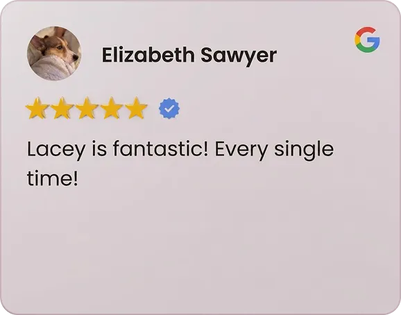 Google review from Elizabeth Sawyer with five stars and the comment, Lacey is fantastic! Every single time!