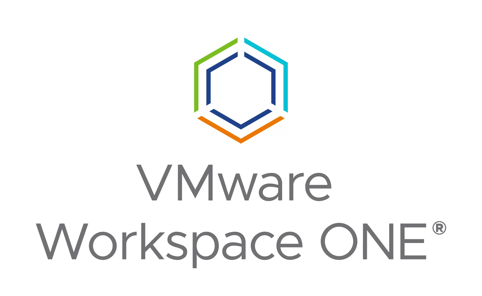 VMware Workspace ONE logo