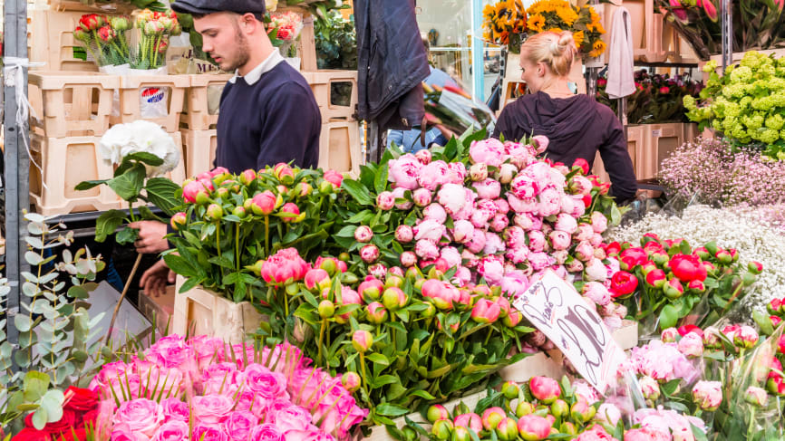 Columbia Road Flower Market
