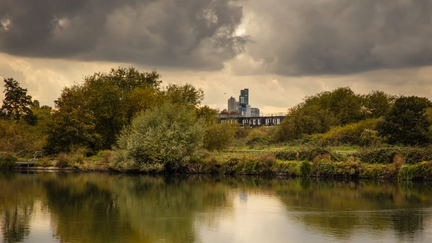 Walthamstow Wetlands