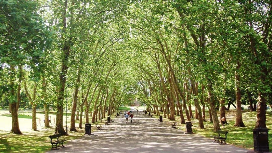 Crystal Palace Park