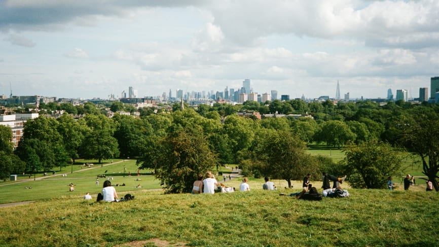 Primrose hill