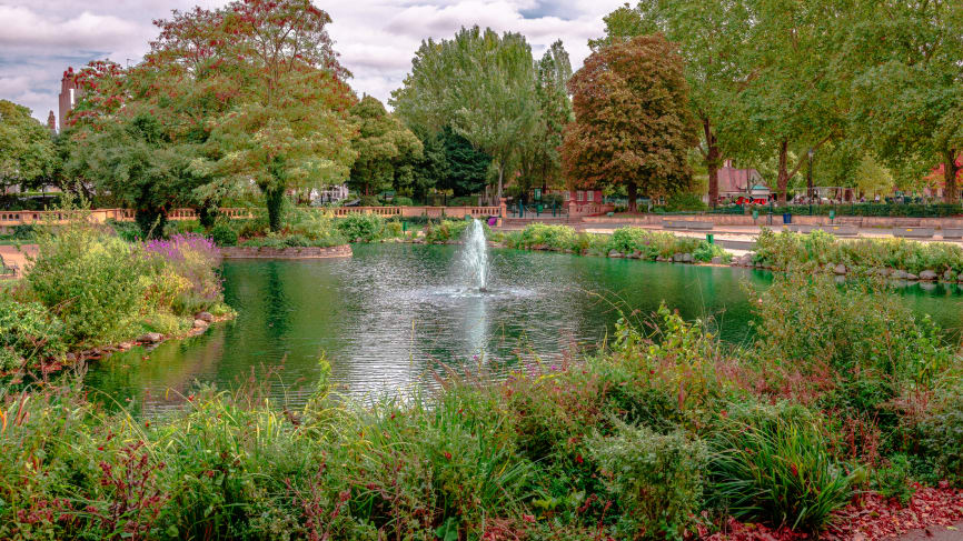 Bishops Park Fulham