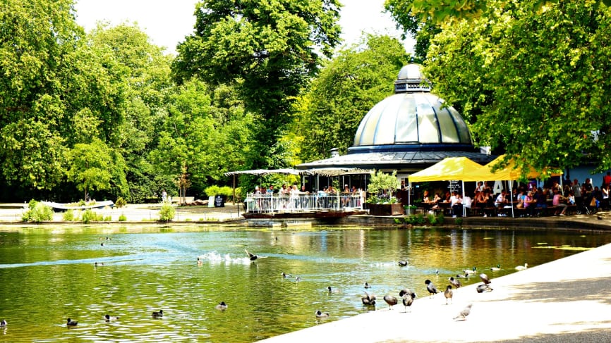 Victoria Park - Dog Friendly Park