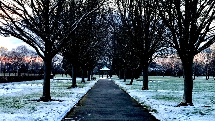 Lampton Park