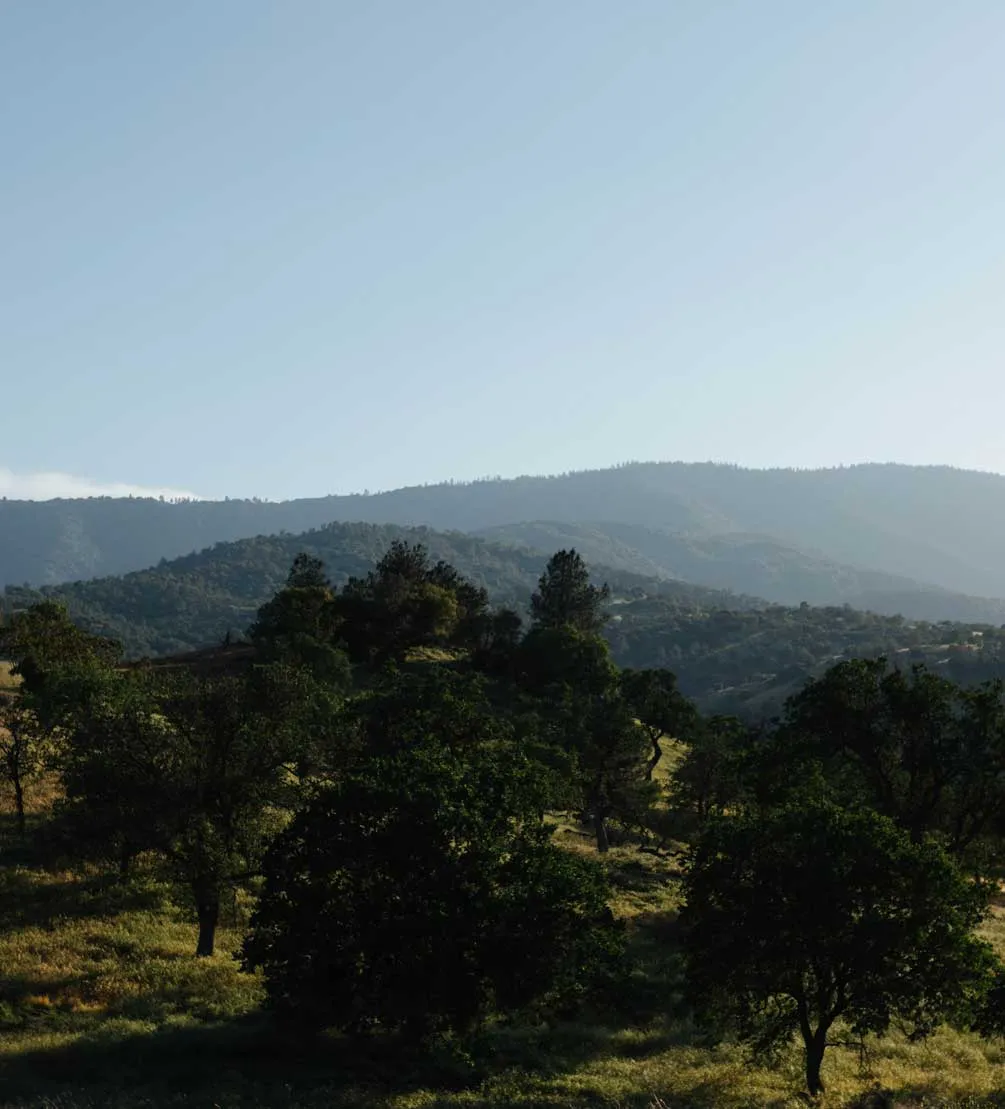 Oak-dotted hillsides and hazy Tehachapi Mountain ridges surrounding Villa La Paz