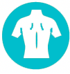 Intracept spine structure icon