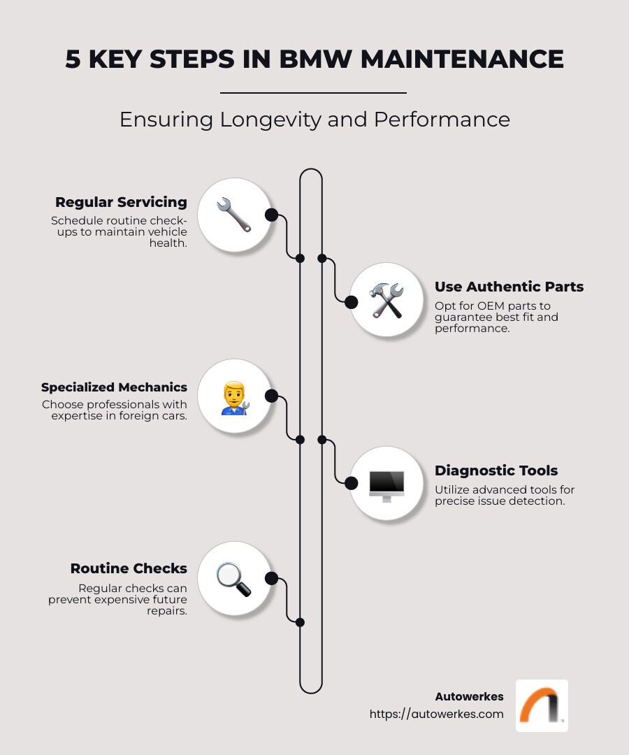 Benefits of Specialized BMW Maintenance - bmw car maintenance near me infographic infographic-line-5-steps-neat_beige