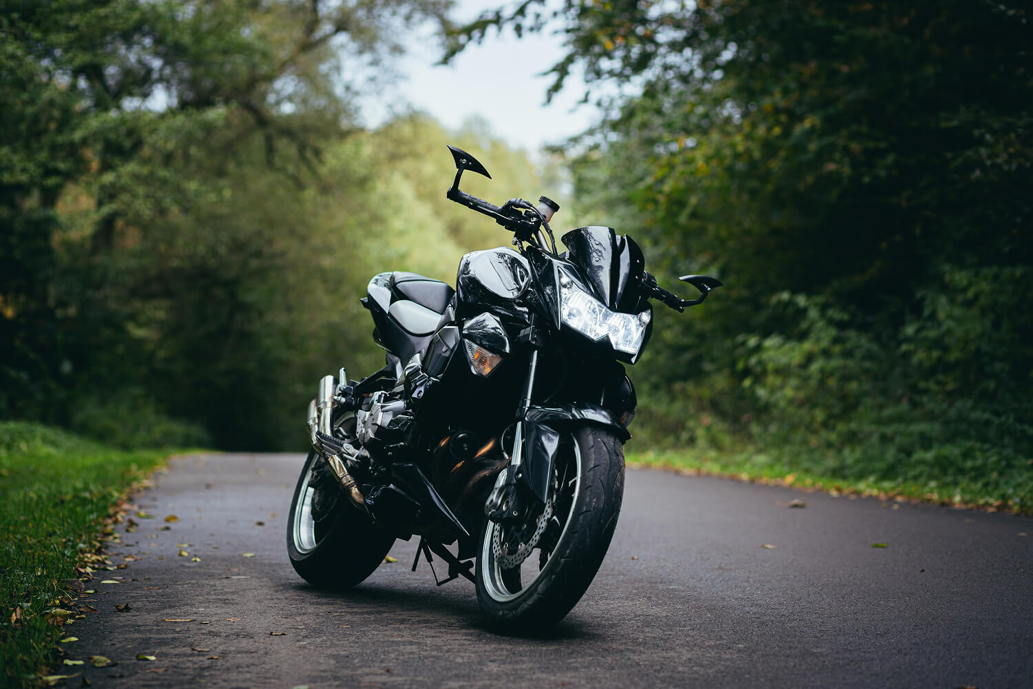 Black sport motorcycle parked on a forest road.
