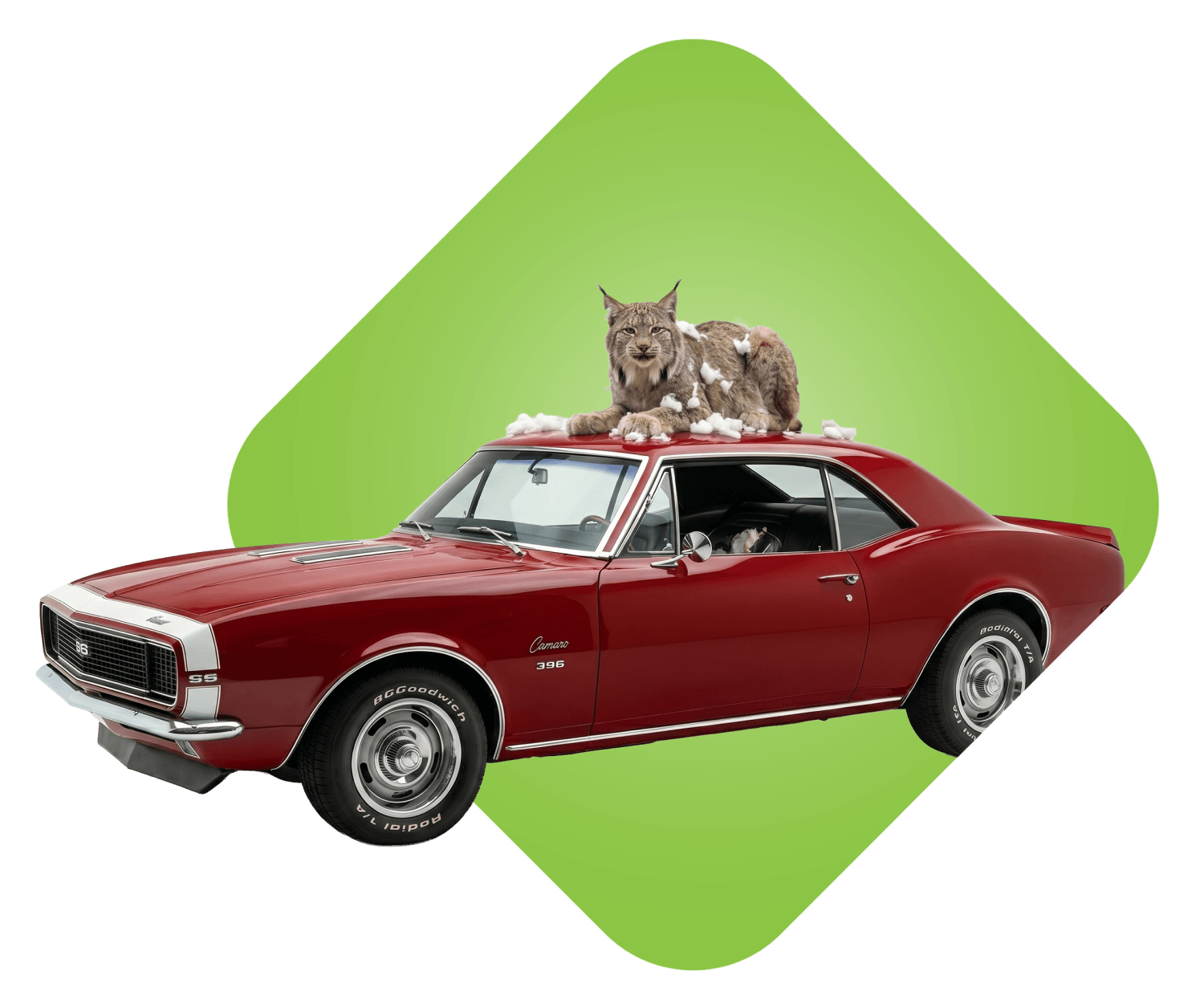 Red classic car with a lynx sitting on the roof.