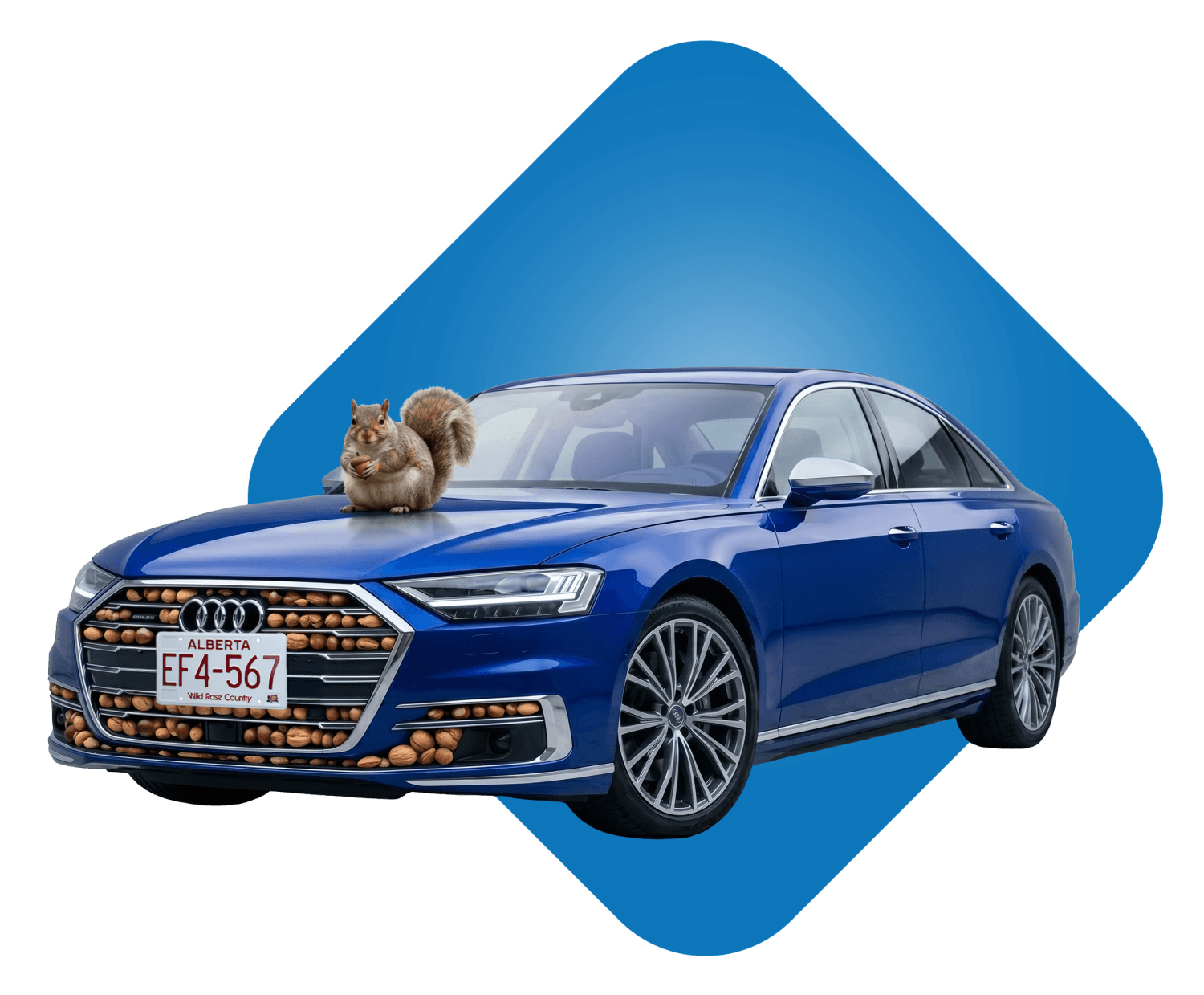 Blue car with a squirrel sitting on the hood.