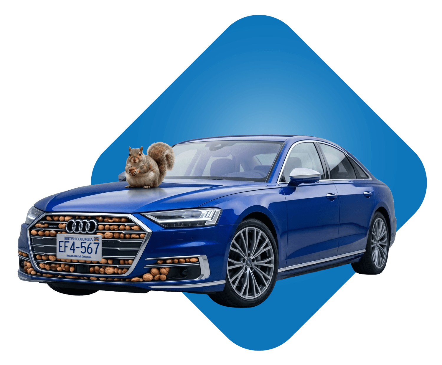 Blue car with a squirrel sitting on the hood.